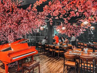 ✅ Khay lẩu thịt bò khổng lồ chỉ 495k tại nhà hàng sang trong bậc nhất Sài Gòn. - ảnh 2 ✅ khay lau thit bo khong lo chi 495k tai nha hang sang trong bac nhat sai gon. - anh 2