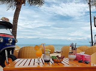 CHAMELEON BEACH BAR - ảnh 3 chameleon beach bar - anh 3