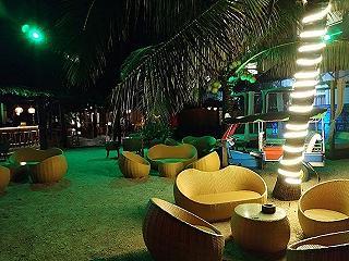CHAMELEON BEACH BAR - ảnh 4 chameleon beach bar - anh 4