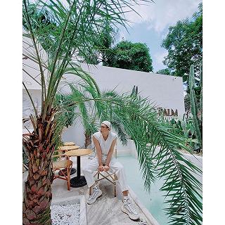 | o' p a l m | - ảnh 2 | o' p a l m | - anh 2