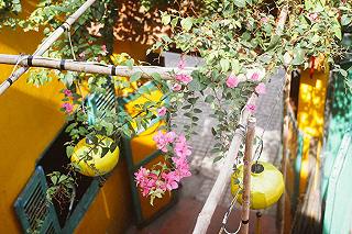 Tiệm cơm - cafe Hoa Giấy - ảnh 2 tiem com - cafe hoa giay - anh 2