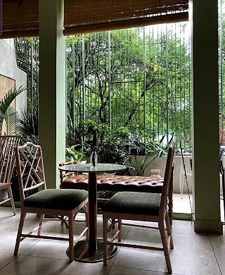 THA HỒ ĐỌC SÁCH,VẼ VỜI - ảnh 3 tha ho doc sach,ve voi - anh 3