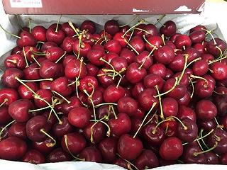 Cherry úc siêu ngon 🤤 - ảnh 2 cherry uc sieu ngon 🤤 - anh 2