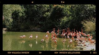 Phú Quốc tháng 11 .... - ảnh 4 phu quoc thang 11 .... - anh 4