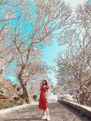 #REVIEW VŨNG TÀU 11/3/2020 - ảnh 6 #review vung tau 11/3/2020 - anh 6