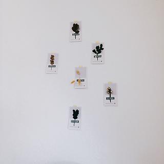 Sống ảo tại cà phê tông trắng Sol coffee - ảnh 5 song ao tai ca phe tong trang sol coffee - anh 5