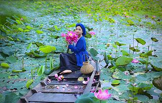 HỒ SEN TAM ĐA QUẬN 9 - SÀI GÒN CHỨ ĐÂU XA - ảnh 2 ho sen tam da quan 9 - sai gon chu dau xa - anh 2