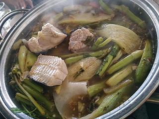 Ốc Tự Nhiên - ảnh 2 oc tu nhien - anh 2