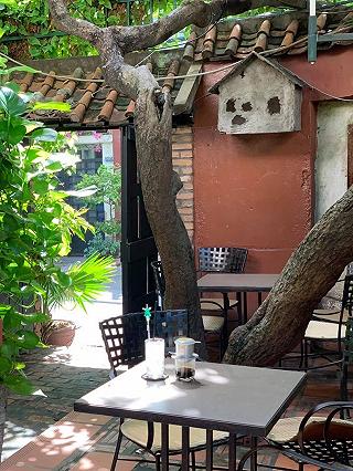 Đất Cafe -Tô Hiến Thành - ảnh 2 dat cafe -to hien thanh - anh 2