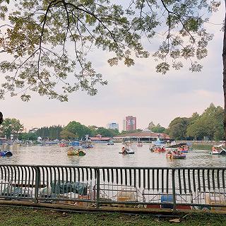 Đầm Sen tuổi thơ - ảnh 1 dam sen tuoi tho - anh 1