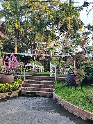 Đầm Sen tuổi thơ - ảnh 2 dam sen tuoi tho - anh 2