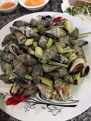 Đu đưa đi đu thành phố biển Quy Nhơn - ảnh 5 du dua di du thanh pho bien quy nhon - anh 5
