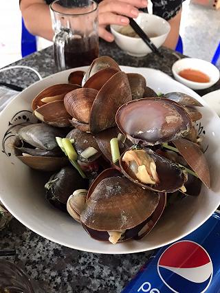 Đu đưa đi đu thành phố biển Quy Nhơn - ảnh 6 du dua di du thanh pho bien quy nhon - anh 6