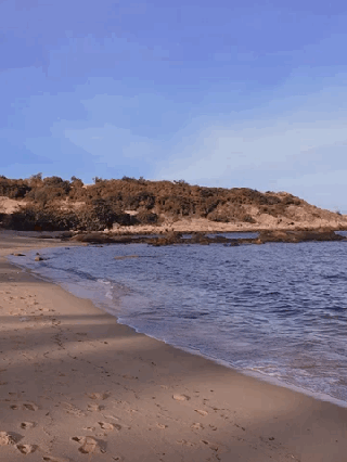 Đu đưa đi đu thành phố biển Quy Nhơn - ảnh 1 du dua di du thanh pho bien quy nhon - anh 1