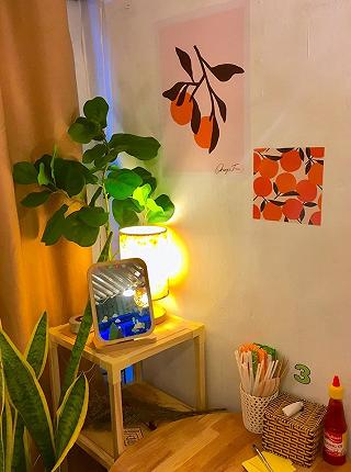 HAO HOUSE - ảnh 2 hao house - anh 2