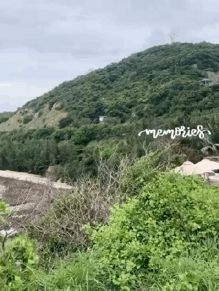 Có một Vũng Tàu thật sự xanh và đẹp, bạn đã thấy chưa? - ảnh 1 co mot vung tau that su xanh va dep, ban da thay chua? - anh 1
