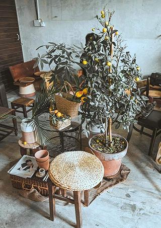 Đá Bào Concept Nổi tiếng👍👍👍 - ảnh 3 da bao concept noi tieng👍👍👍 - anh 3