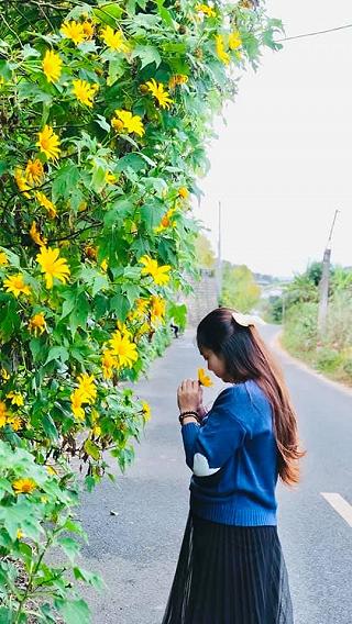 Đà lạt 24h có gì? - ảnh 2 da lat 24h co gi? - anh 2