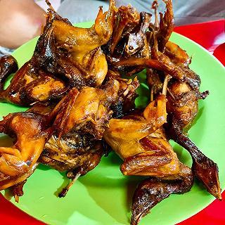 CÚT CHIÊN BƠ - ảnh 1 cut chien bo - anh 1