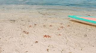 RẠCH VẸM ~ VƯƠNG QUỐC SAO BIỂN - ảnh 6 rach vem ~ vuong quoc sao bien - anh 6