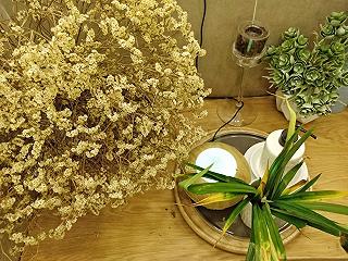 Chanchamayo Coffee tại Sài Gòn - ảnh 5 chanchamayo coffee tai sai gon - anh 5