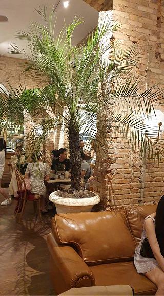 Mí bạn check-in view Xmas chưa ta? - ảnh 4 mi ban check-in view xmas chua ta? - anh 4