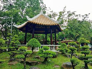 CÔNG VIÊN VĂN HOÁ ĐẦM SEN - ảnh 2 cong vien van hoa dam sen - anh 2