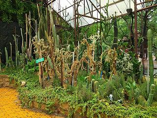 CÔNG VIÊN VĂN HOÁ ĐẦM SEN - ảnh 1 cong vien van hoa dam sen - anh 1