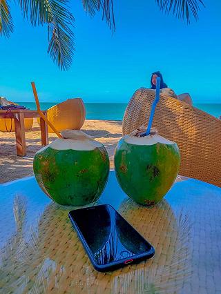 Chameleon Beach Bar Dance ♥️
- ảnh 3 chameleon beach bar dance ♥️
- anh 3