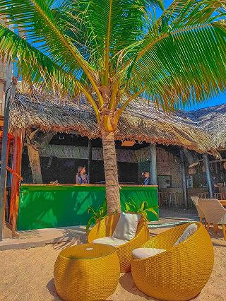 Chameleon Beach Bar Dance ♥️
- ảnh 2 chameleon beach bar dance ♥️
- anh 2