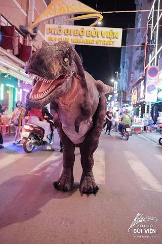Phố Tây Bùi Viện - ảnh 3 pho tay bui vien - anh 3