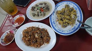 Ốc Hiền - ảnh 1 oc hien - anh 1