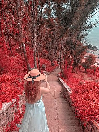 - ảnh 2 - anh 2