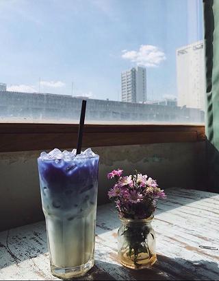 Mockingbird Cafe - Thơ mộng đẹp lạ - ảnh 1 mockingbird cafe - tho mong dep la - anh 1