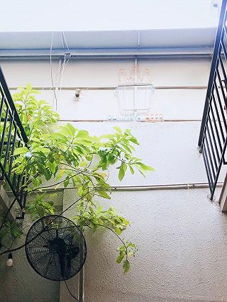 Số 79 là tên đường có Phường - ảnh 5 so 79 la ten duong co phuong - anh 5