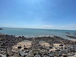 Vi vu Vũng Tàu ăn gì ☀️🚗 - ảnh 2 vi vu vung tau an gi ☀️🚗 - anh 2