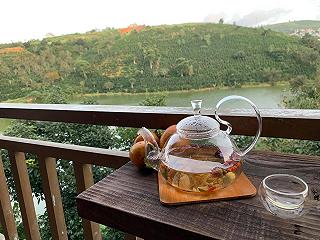 Mộc Trà Farm - Đà Lạt - ảnh 3 moc tra farm - da lat - anh 3