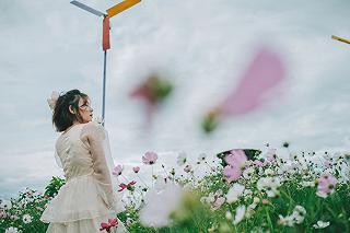 🏵️Thung lũng hoa Tà Nung🏵️ - ảnh 4 🏵️thung lung hoa ta nung🏵️ - anh 4