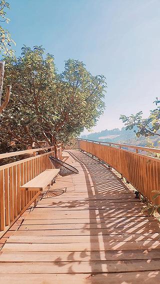 Mộc Trà Farm - Đà Lạt - ảnh 1 moc tra farm - da lat - anh 1