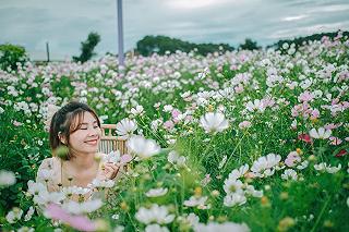 🏵️Thung lũng hoa Tà Nung🏵️ - ảnh 3 🏵️thung lung hoa ta nung🏵️ - anh 3