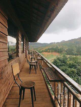 Mộc Trà Farm - Đà Lạt - ảnh 2 moc tra farm - da lat - anh 2
