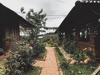 Mộc Trà Farm - Đà Lạt - ảnh 5 moc tra farm - da lat - anh 5