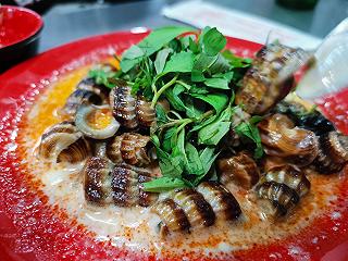 ỐC THÀNH LONG - ảnh 5 oc thanh long - anh 5