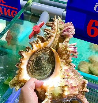 Hải sản tươi sống Nhà hàng Biển Dương CMT8 - ảnh 4 hai san tuoi song nha hang bien duong cmt8 - anh 4