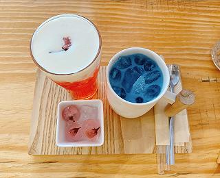 Những ngày mộng mơ - Dreamy Days Coffee - ảnh 2 nhung ngay mong mo - dreamy days coffee - anh 2