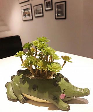 Beautea cho Bánh bèo màu hồng đây - ảnh 6 beautea cho banh beo mau hong day - anh 6