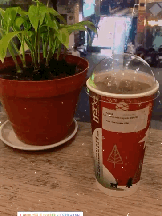 HEBE TEA&COFFEE - ảnh 1 hebe tea&coffee - anh 1