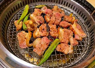 BÒ TƠ CỦ CHI 🐮🐮 - ảnh 1 bo to cu chi 🐮🐮 - anh 1