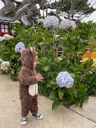 Đà Lạt - Khu du lịch Lá Phong - ảnh 4 da lat - khu du lich la phong - anh 4