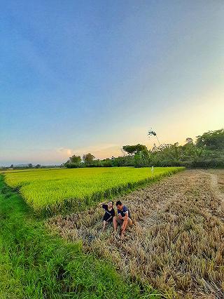 Một buổi chiều tại vùng quê của bà c những ngày nghĩ của covid 19 - ảnh 5 mot buoi chieu tai vung que cua ba c nhung ngay nghi cua covid 19 - anh 5